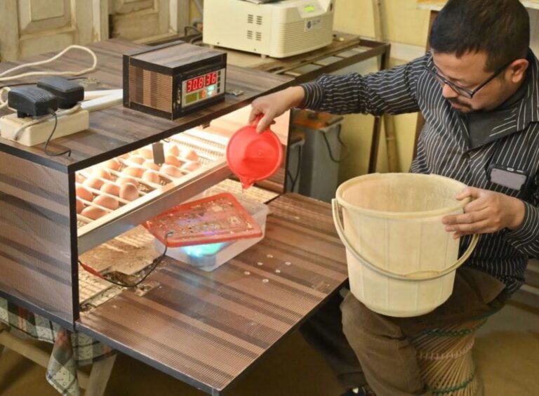 Success Story of Meghali Das – Championing Women’s Empowerment through Skill Development